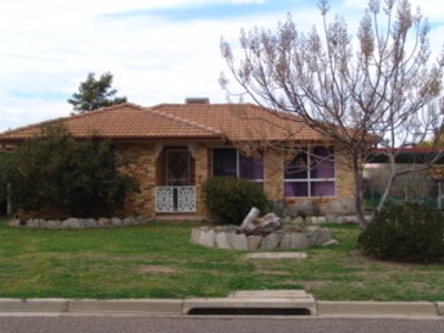 Neat and Tidy Picture Neat and Tidy Picture