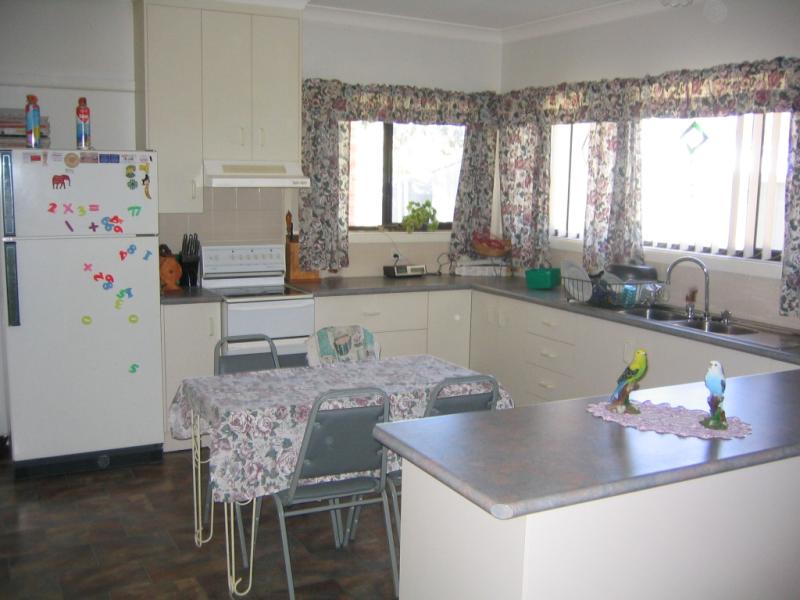 Look horse lovers Picture 2