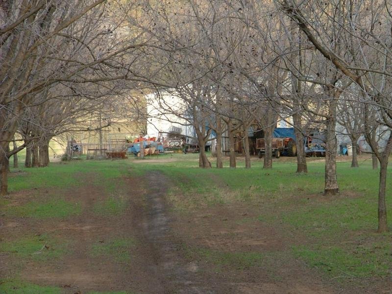 Tree Change!! Picture 3