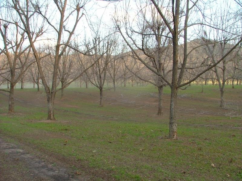 Tree Change!! Picture 2