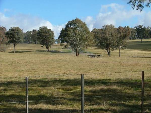 52 acres, 70 kms from Tamworth Picture