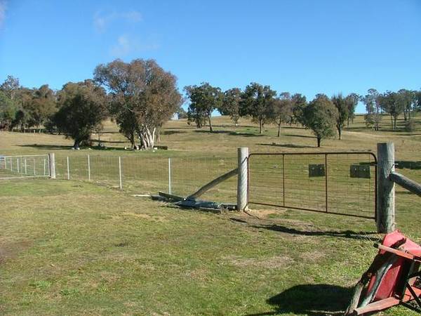 52 acres, 70 kms from Tamworth Picture 3
