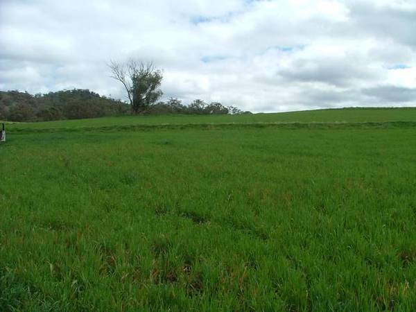 Beautiful Country - 625 Hectares Picture