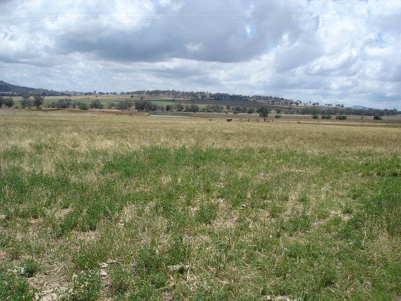 EXCELLENT MIXED FARM WITH IRRIGATION - 42HA'S ( Plus 4.5HA'S LEASED) Picture 3