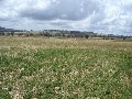EXCELLENT MIXED FARM WITH IRRIGATION - 42HA'S ( Plus 4.5HA'S LEASED) Picture