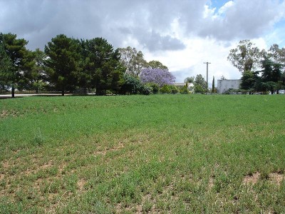 EXCELLENT MIXED FARM WITH IRRIGATION - 42HA'S ( Plus 4.5HA'S LEASED) Picture