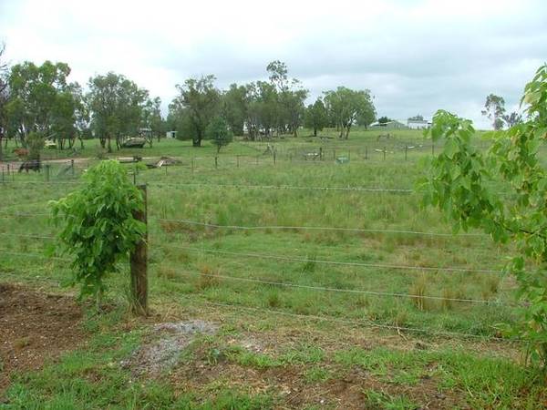 VERY NEAT SMALL FARM CLOSE TO MOONBI AND GREAT FOR A HORSE OR TWO ON 2.5 GREAT ACRES. Picture 2