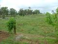 VERY NEAT SMALL FARM CLOSE TO MOONBI AND GREAT FOR A HORSE OR TWO ON 2.5 GREAT ACRES. Picture
