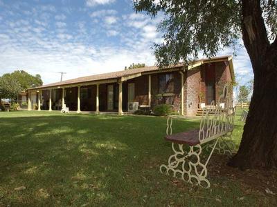 NEXT TO THE EQUINE CENTRE Picture