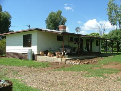 VALUE, VALUE, VALUE!! Picture