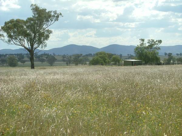 FABULOUS FAMILY HOME ON 40.29 HECTARES Picture 2