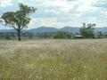 FABULOUS FAMILY HOME ON 40.29 HECTARES Picture