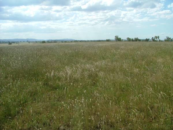 FABULOUS FAMILY HOME ON 40.29 HECTARES Picture 3