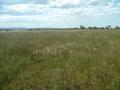 FABULOUS FAMILY HOME ON 40.29 HECTARES Picture