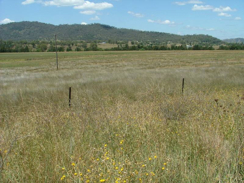 Where is it??? Picture 3