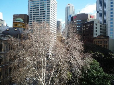 Circular Quay Area - Stylish 1br apartment with views Picture