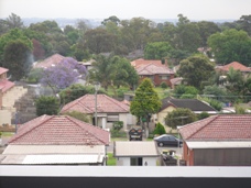 CITY VIEWS!!!! Picture 1