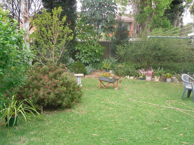 SOLD!!! MORE PROPERTIES NEEDED Picture 2