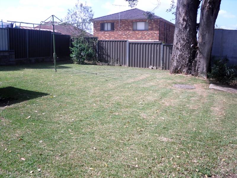 HURRY!!! HURRY!!! HURRY!!! WILL NOT LAST Picture 3