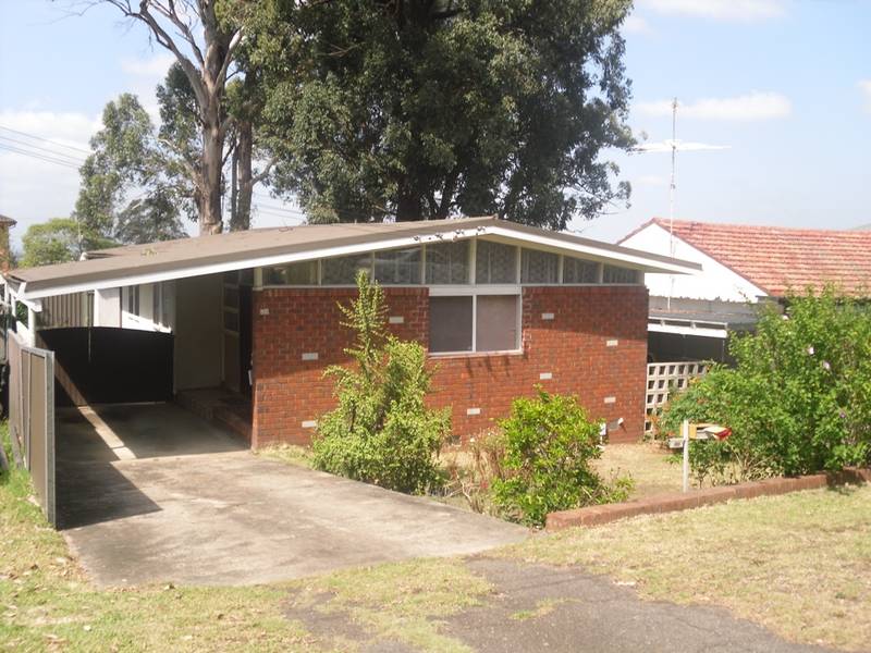 HURRY!!! HURRY!!! HURRY!!! WILL NOT LAST Picture 1