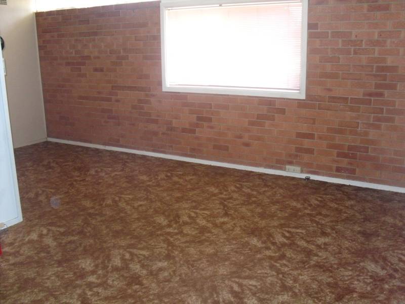 HURRY!!! HURRY!!! HURRY!!! WILL NOT LAST Picture 2