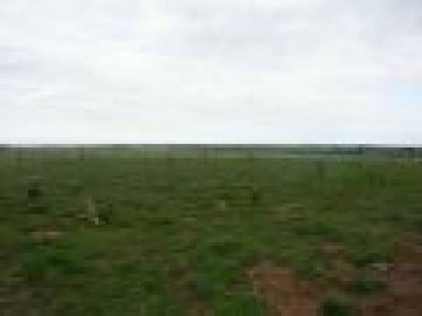 A Golden Nest of Over 100 Acres Picture 2