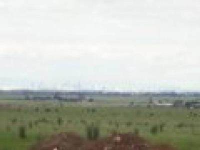 A Golden Nest of Over 100 Acres Picture