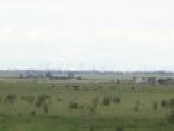 A Golden Nest of Over 100 Acres Picture 3