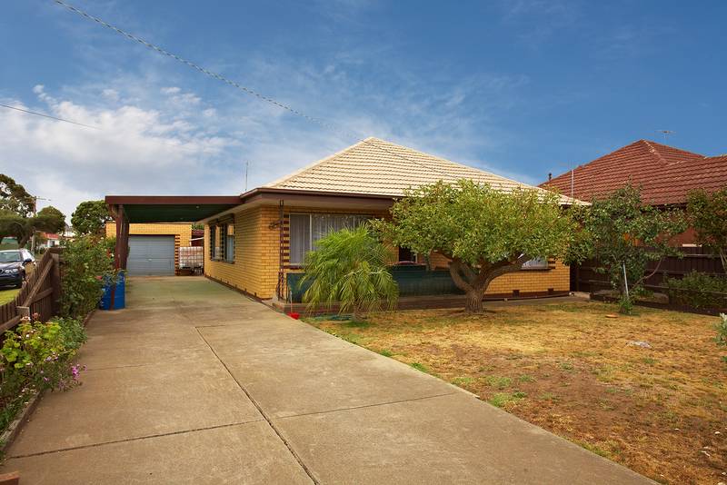 Ponder the Options - They're All Good Picture 2