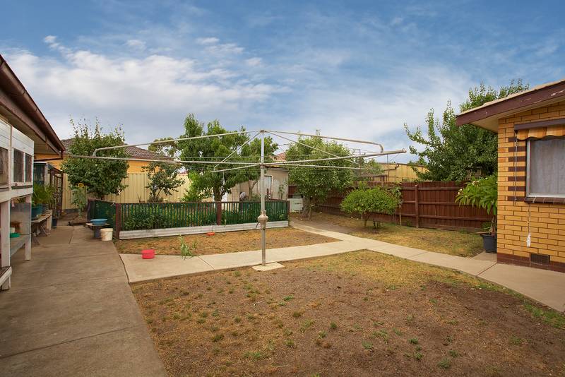 Ponder the Options - They're All Good Picture 3