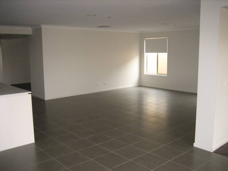 Live Like A King!! Picture 3