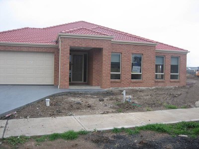 Live Like A King!! Picture Live Like A King!! Picture