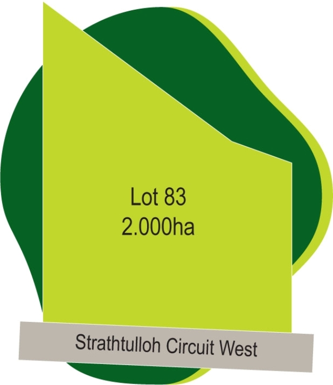 Make Your Dream Come True Picture 1