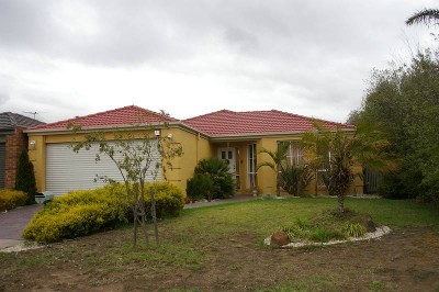 Feel the Warmth & Family Appeal Picture