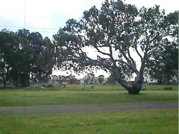 PRIME INDUSTRIAL SITE Picture 1