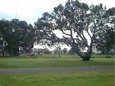 PRIME INDUSTRIAL SITE Picture