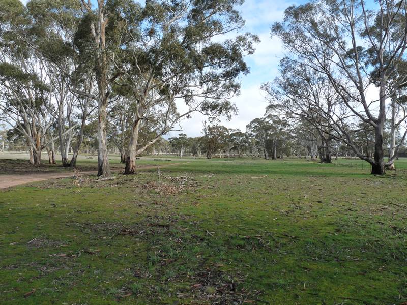 POTENTIAL PLUS Picture 2