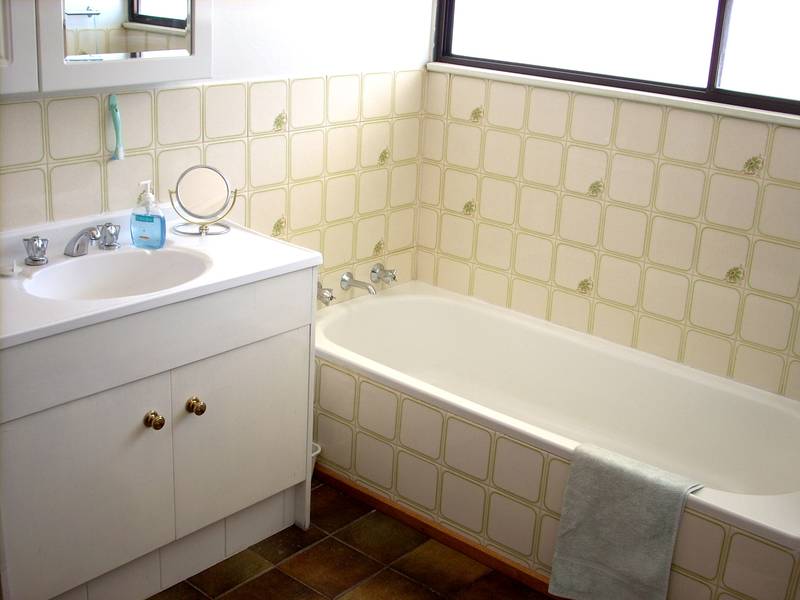 MOUNTAIN VIEWS Picture 3