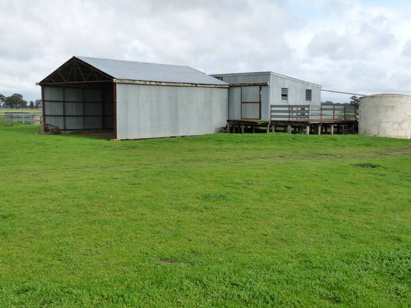 POTENTIAL PLUS Picture 3