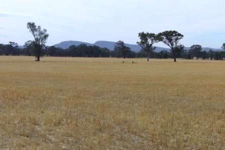 POTENTIAL PLUS Picture 1