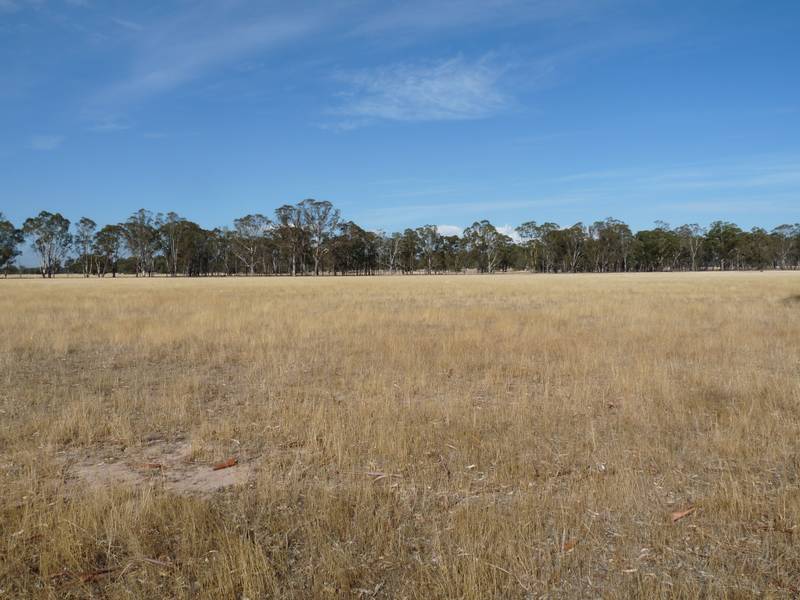 GRAZING / CROPPING/ LIFESTYLE Picture 3