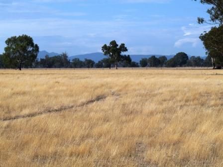 GRAZING / CROPPING/ LIFESTYLE Picture 1