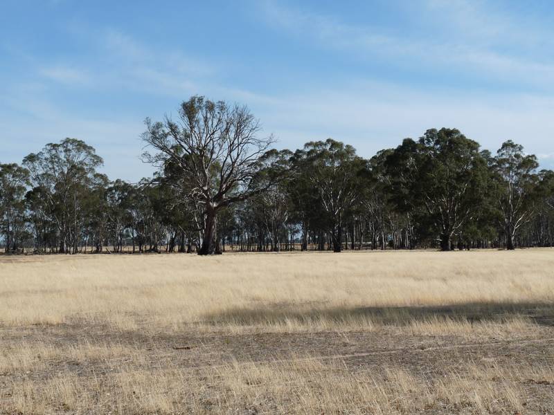 GRAZING / CROPPING/ LIFESTYLE Picture 2