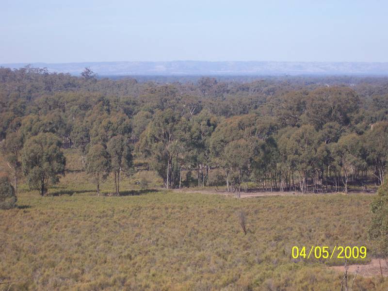 320 ACRES OF LIFESTYLE - NATURES LOVERS BLOCK - MURCHISON Picture 2