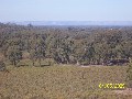 320 ACRES OF LIFESTYLE - NATURES LOVERS BLOCK - MURCHISON Picture