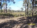 320 ACRES OF LIFESTYLE - NATURES LOVERS BLOCK - MURCHISON Picture
