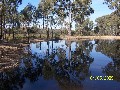 320 ACRES OF LIFESTYLE - NATURES LOVERS BLOCK - MURCHISON Picture