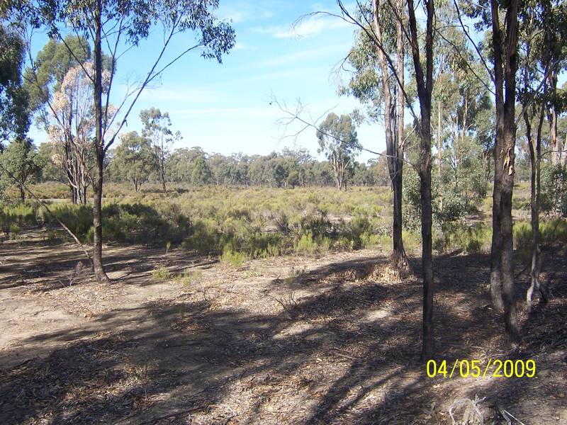 320 acres of Lifestyle-Nature lovers block. - Murchison Picture 3