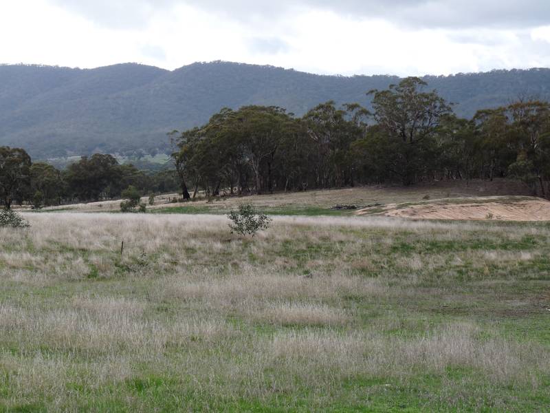 LANDSBOROUGH Picture 2