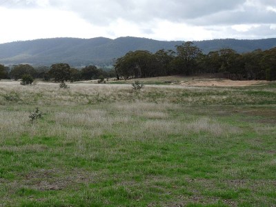 LANDSBOROUGH Picture